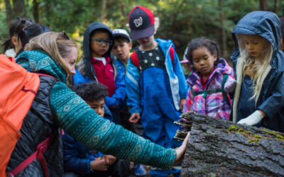 From Forest to Classroom