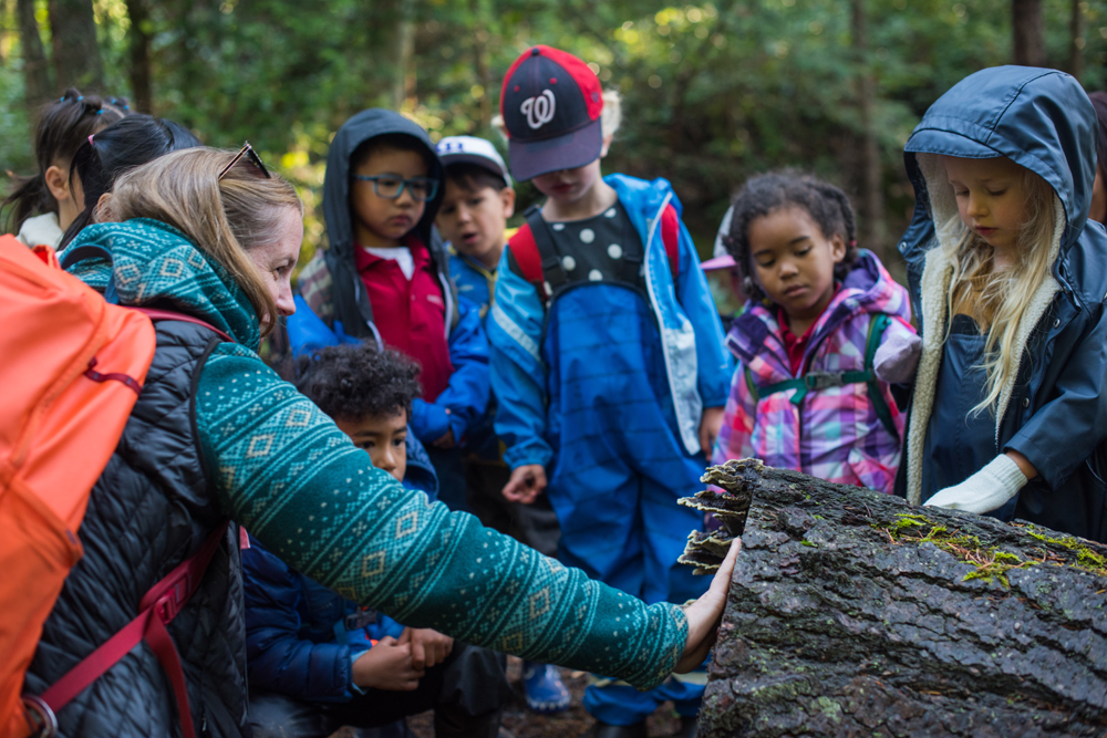 From Forest to Classroom