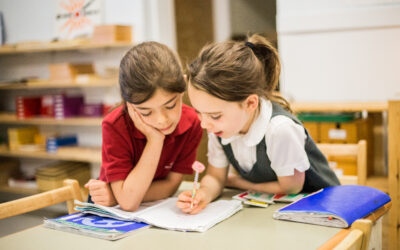 From Montessori to University: How Alternative Education Prepares Students for Academic Success