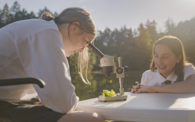 The Real Reason Students Disengage in High School