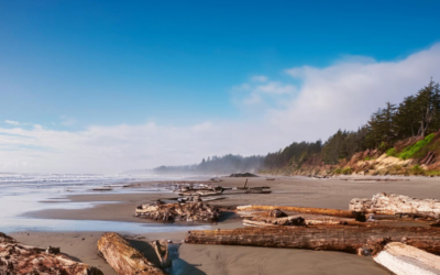 The Complete Guide to Montessori Schools in Victoria BC